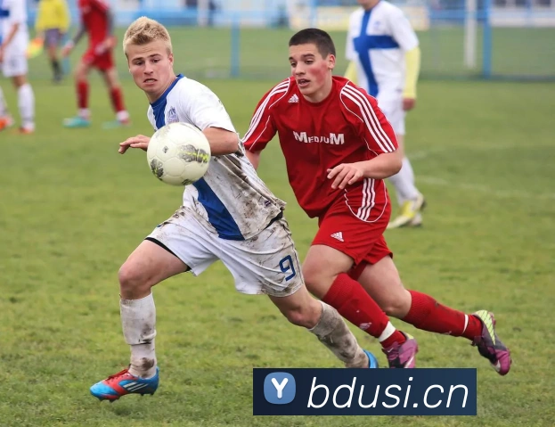 App Interface Preview